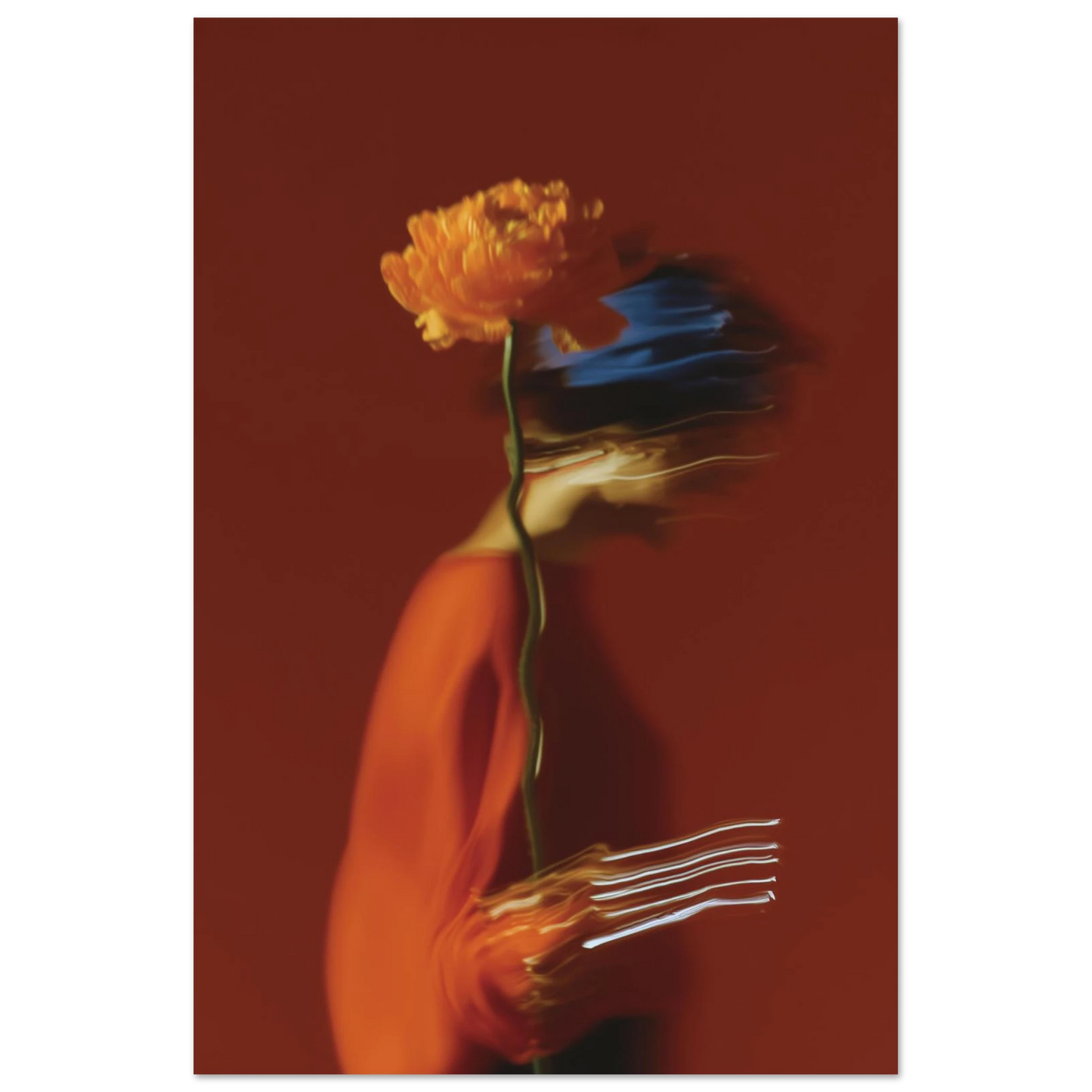 d1d2658a-7064-4011-8ea0-e902ffcb2c4c